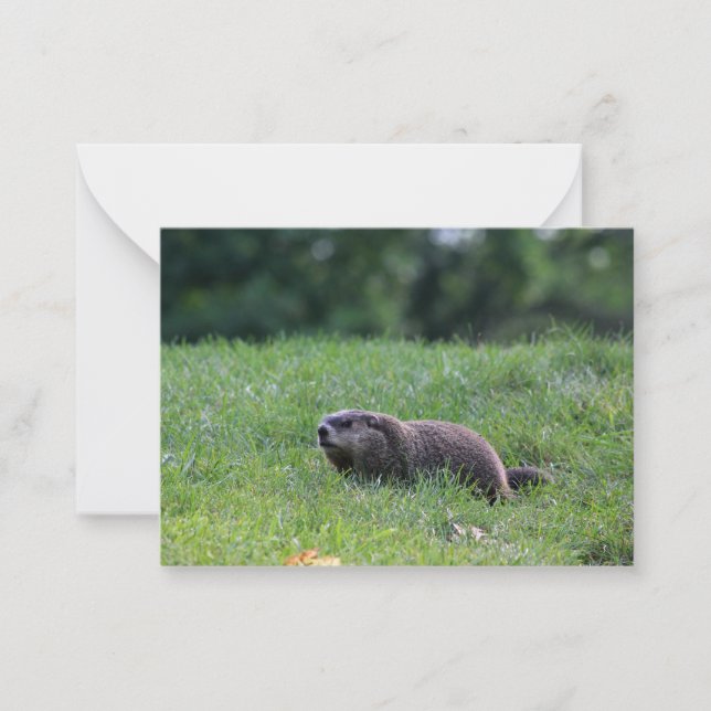 Djävulen Hål Digger Anteckningskort (Framsida)