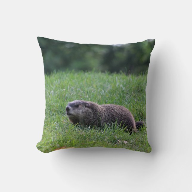 Djävulen Hål Digger Kudde (Framsida)