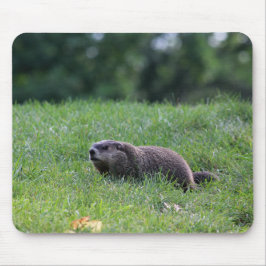 Djävulen Hål Digger Musmatta