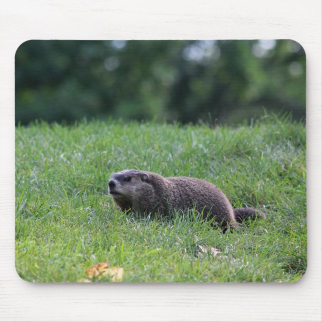 Djävulen Hål Digger Musmatta (Framsidan)