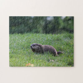 Djävulen Hål Digger Pussel