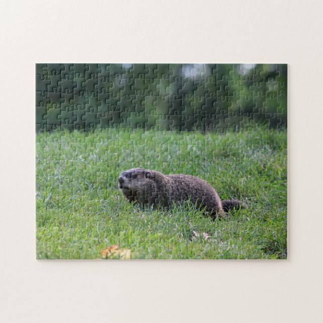 Djävulen Hål Digger Pussel (Horisontell)