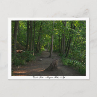 Djävulen    HoleNiagara Falls, NY Vykort