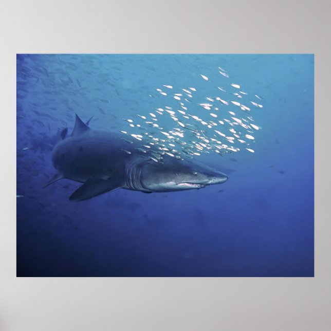 Djävulen med halo poster (Framsidan)