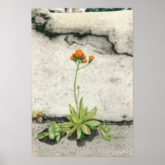 Djävulen Paintbrush Poster