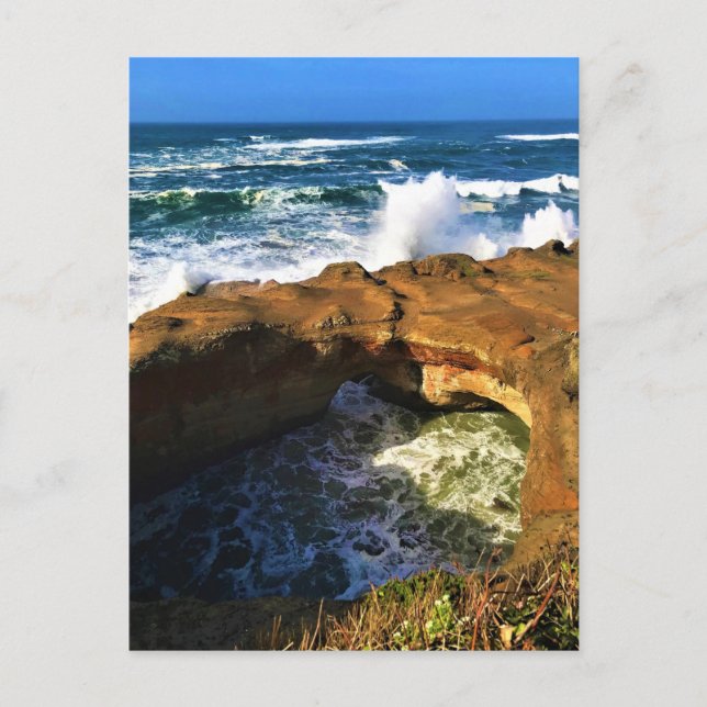 Djävulen Punchbowl, Newport, Oregon Vykort (Framsida)