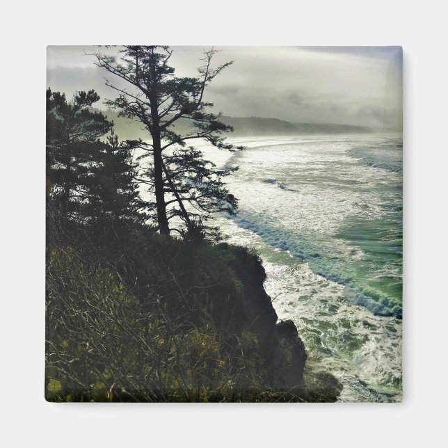 Djävulen Punchbowl State Park, Newport, Oregon Magnet (Framsidan)