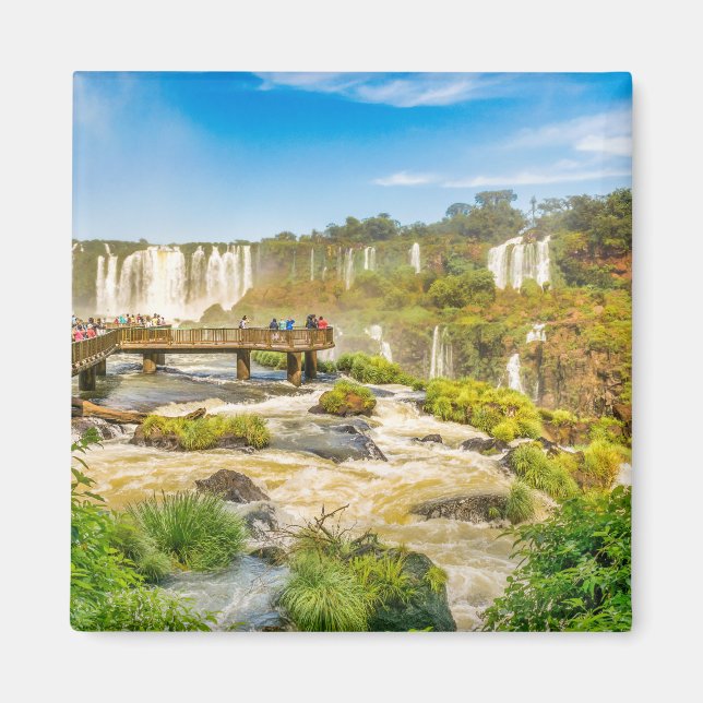 Djävulenhalsvattenfall från den brasilianska magnet (Framsidan)