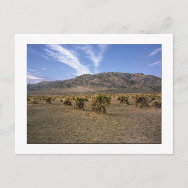 "Djävulens majsfält" Vykort (Framsida)