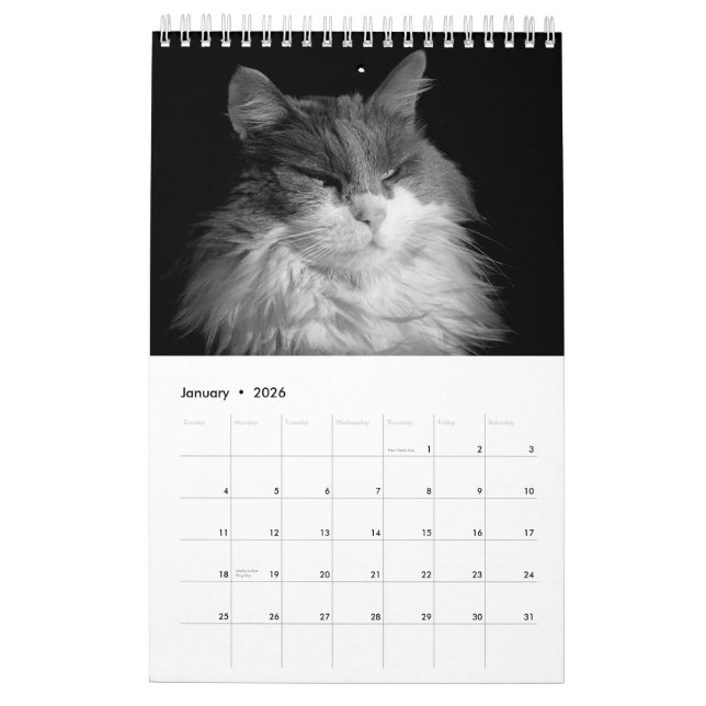 DJ's Cats One Page Kalender (Jan 2026)
