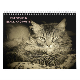 Djs kattstil i svartvitt kalender