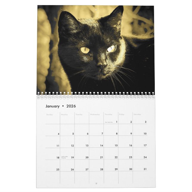 Djs kattstil i svartvitt kalender (Jan 2026)