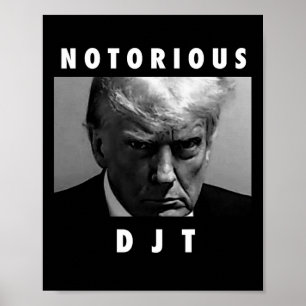 Djt Donald Trump Mugg Shot Republican 2024 Maga Poster