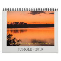DJUNGEL - 2010, härligt landskap…