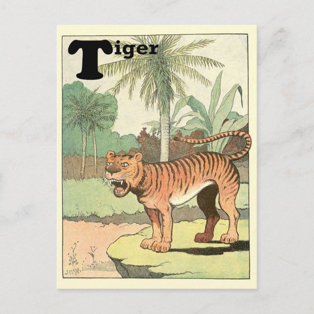 Djungel Tiger Djur Alfabetet Vykort (Framsida)