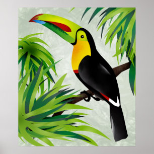 Djungel Toucan Poster