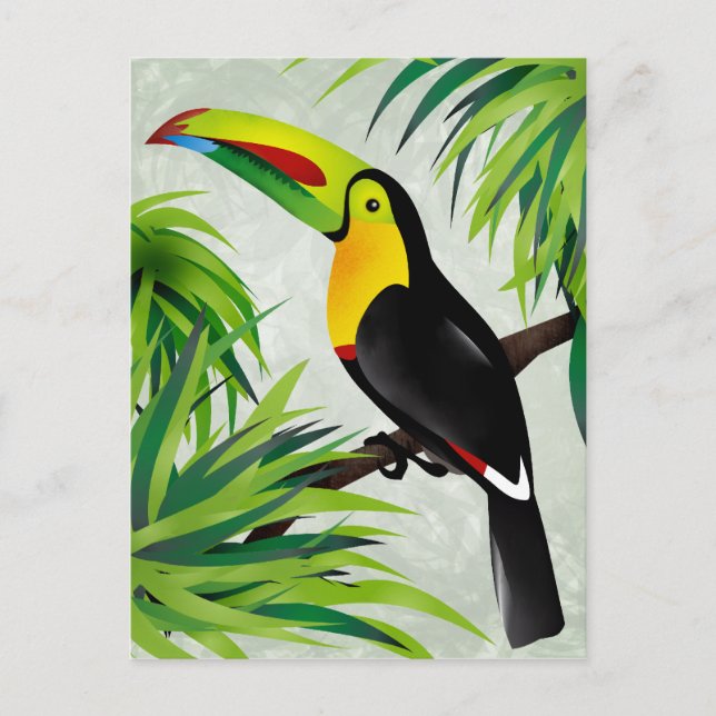 Djungel Toucan Vykort (Framsida)