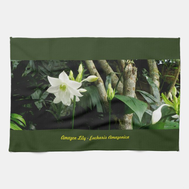 Djungelamasonlilja - Eucharis Amazonica Kökshandduk (Horisontell)