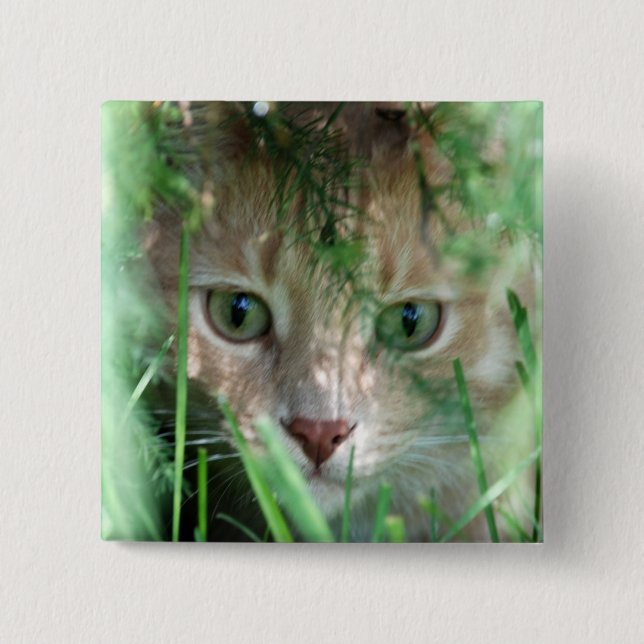 Djungellegend Knapp (Framsida)