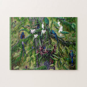 Djungeln av det Guatemala pussel