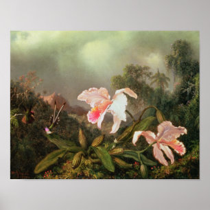 Djungelorchids och hummingbirds, 1872 poster