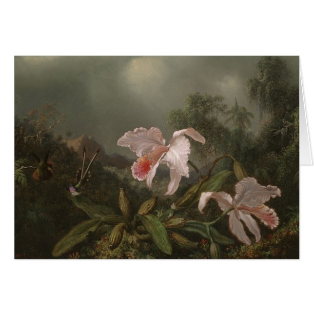 DjungelOrchids och Hummingbirds Hälsningskort (Framsidan Horizontal)