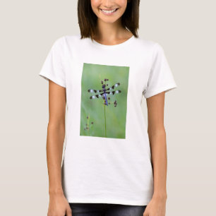Djungelörn som sitter på gräs, Kanada T-shirt