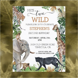 Djungelsafari Två Vilda Födelsedag Svarta Pantern