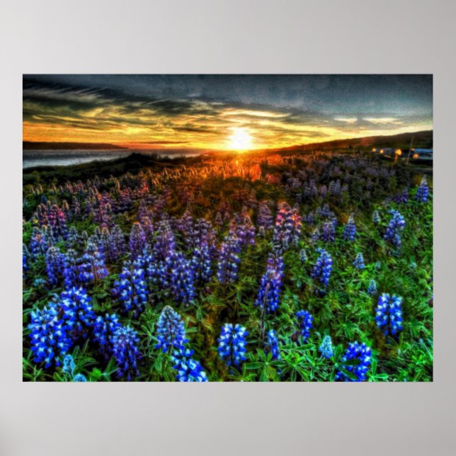 Djup 58 poster (Framsidan)