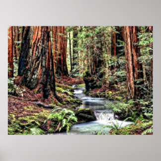 Djup 92 Bristle Lum Focus Poster