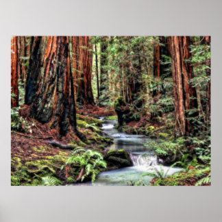 Djup 92 Bristle Poster