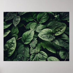 Djup Grönt Jungle Löv-blomma Poster