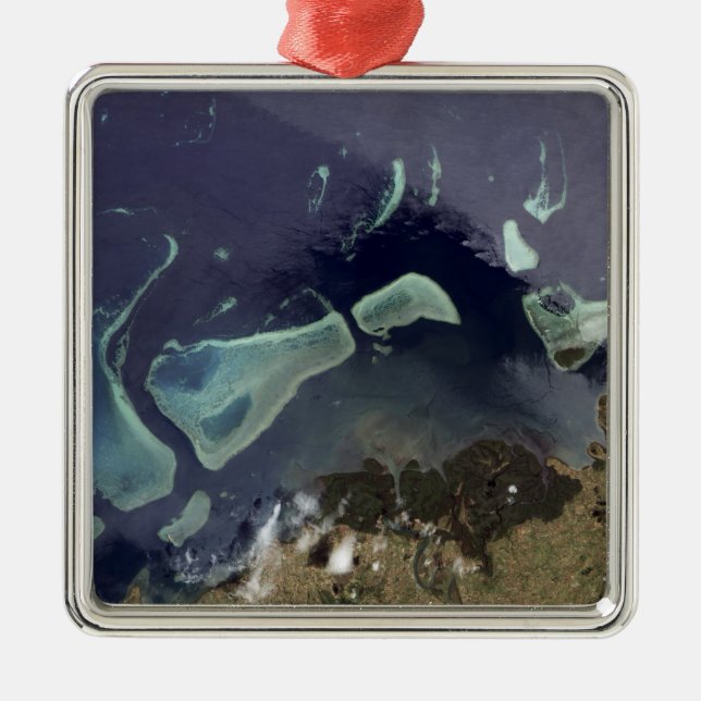 Djup grönt på land julgransprydnad metall (Framsidan)