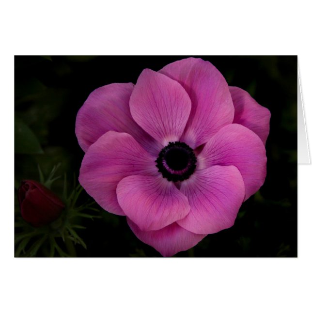 Djup Hälsningskort (Framsidan Horizontal)