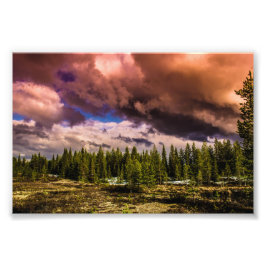 Djup i de norra skogarna fototryck