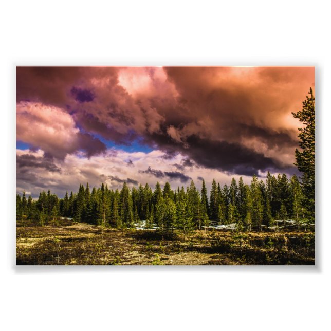 Djup i de norra skogarna fototryck (Framsidan)