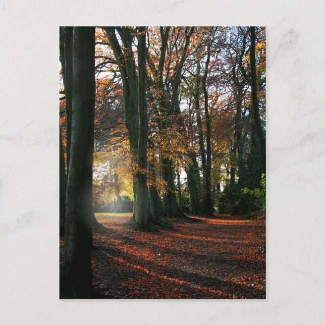 Djup i hjärtvykortet vykort (Framsida)