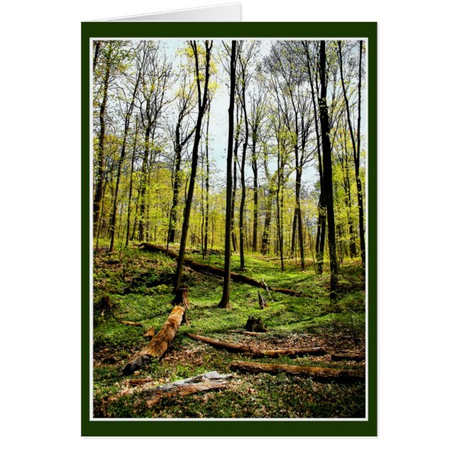 Djup i Skogen Hälsningskort (Framsidan)