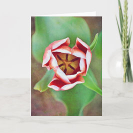 Djup inuti Tulip Flower Art Note Card Kort