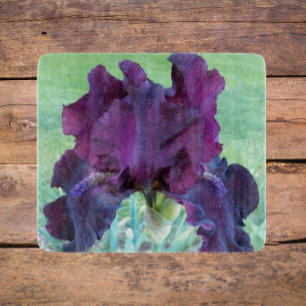 Djup Lila Bearded Iris-Blommigt