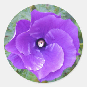 Djup Lila Hibiscus Flower Runt Klistermärke