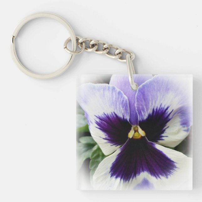 djup lila på vit pansy (Framsidan)