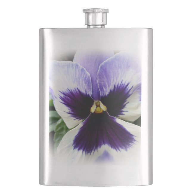 djup lila på vit pansy fickplunta (Framsidan)