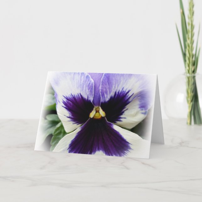 djup lila på vit pansy kort (Framsida)