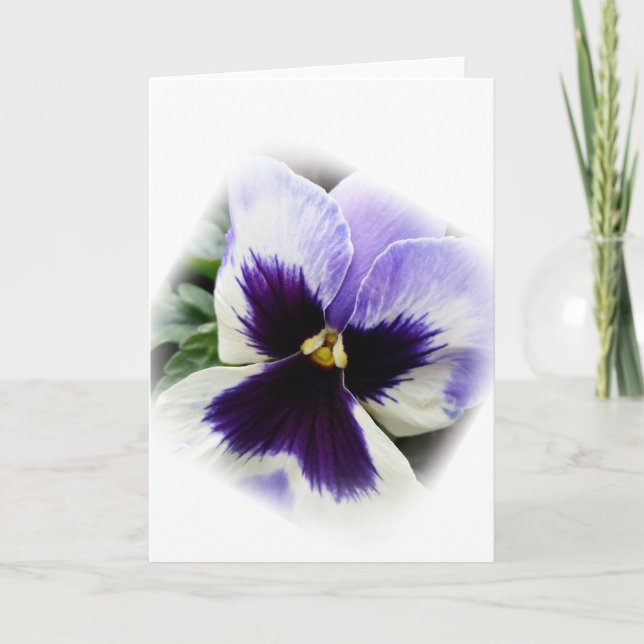 djup lila på vit pansy kort (Framsida)