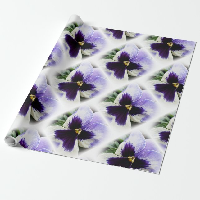 djup lila på vit pansy presentpapper (Utrullad)