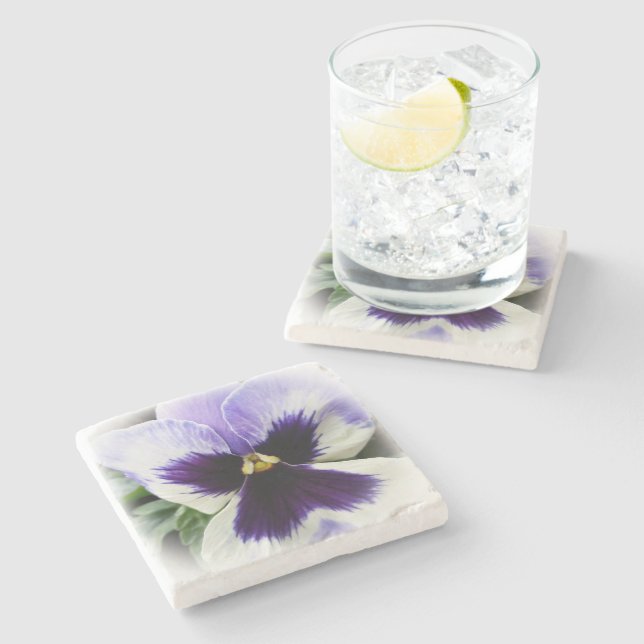 djup lila på vit pansy stenunderlägg (Sidan)