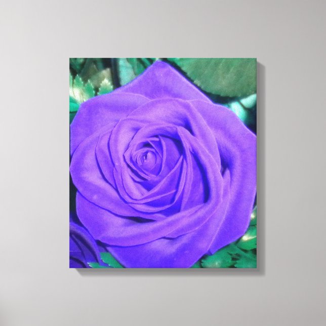 Djup Lila Ro Wrapped Canvas (Framsida)