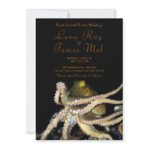 Djup Octopus Beach Wedding