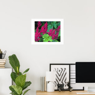 Djup Rosa Astilbe Blommor Blommig Poster